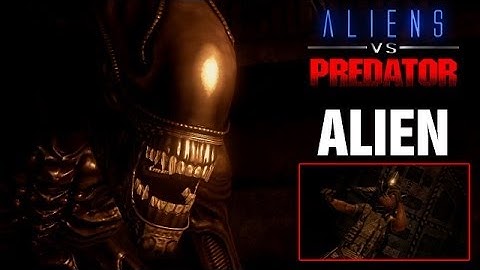 Giant Cockroach Time