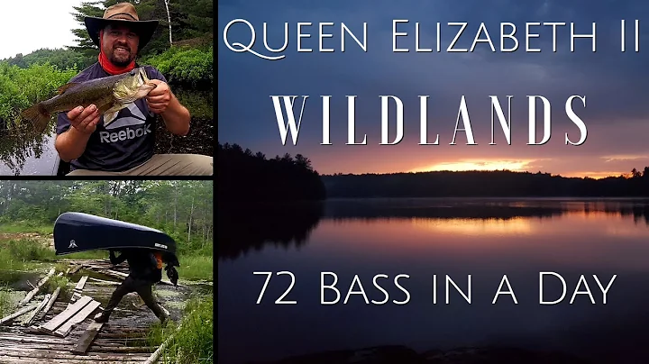 Amazing Bass Fishing - Queen Elizabeth II Wildland...