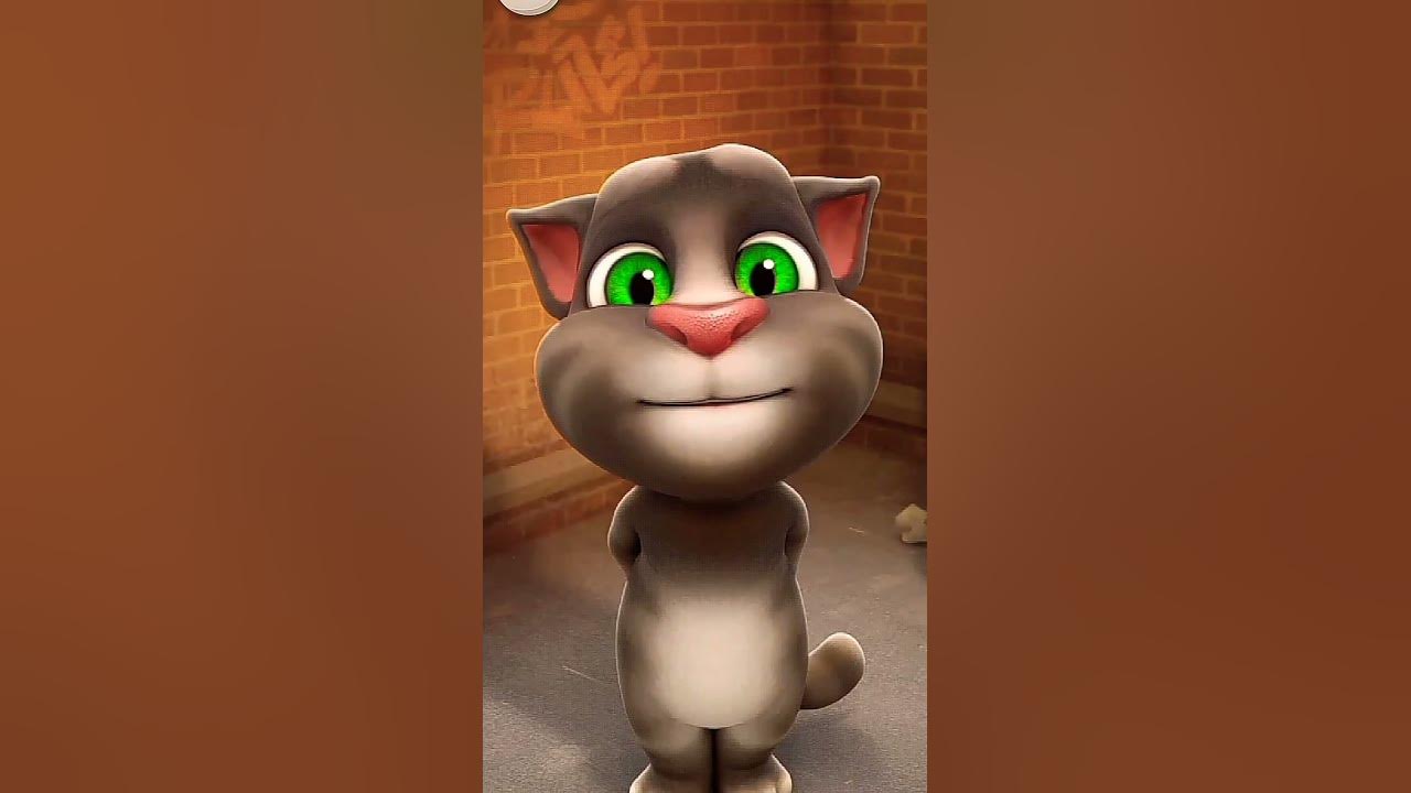 Мой говорящий том рыцарь. Кот том. Том кот том. Talking tom. Talking tom 1997.