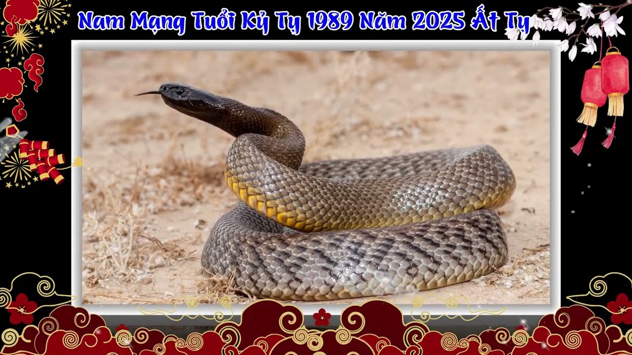 Tử Vi Tuổi Tỵ 1989 Nam Mạng - Khám Phá Vận Mệnh và Cuộc Đời