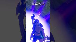 Lore Accurate Link Vs Igneo Talus