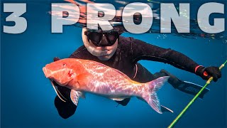 Three Prong Spearfishing Hawaii's Best Tasting Fish