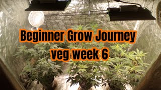 growing a garden my beginner Journal 2×4 veg