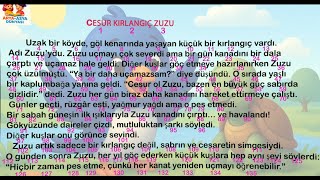 1, 2, 3 ve 4 Sınıf Süreli Okuma-Hızlı Okuma -1 dk Okuma -Cesur Kırlangıç Zuzu