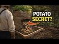 The Amish Potato Method That Grows 100 Pounds In 4 Square Feet 