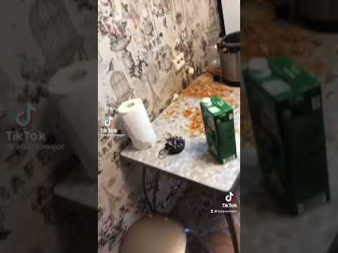 Я гуляш приготовила