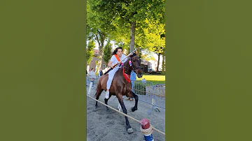 ?? Ringrijden Grijpskerke ????  Nederland @TravelwithHugoF  #ringrijden #horses #grijpskerke