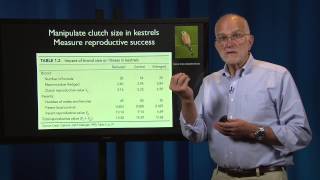 1.4 - Evolutionary Thinking: Adaptation: Why it is Problematic and How to Recognize it