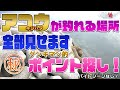 【アコウの釣れるポイント】ポイントの探し方を全部見せます!キジハタが釣れる場所探し! 【地球遊び185】