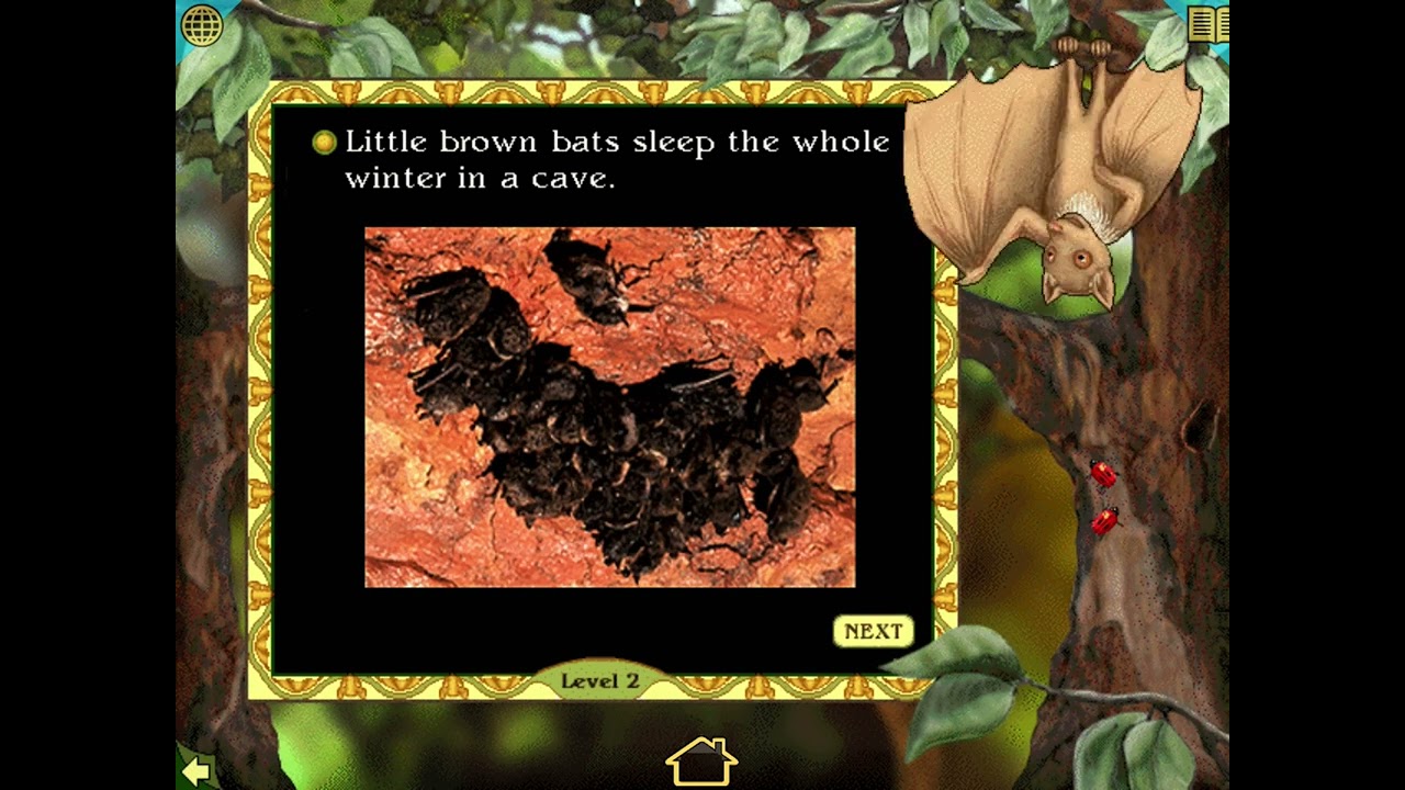 Stellaluna - Бэт-викторина