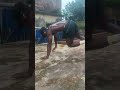 core strength work out #calisthenics #boxing
