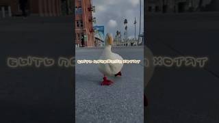 На Шагающих Утят Быть Похожими Хотят