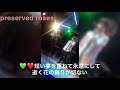 liberty(シアン&amp;新) ライブ映像