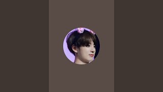 Py Cardoso Está Ao Vivo