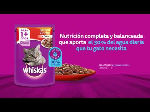 WHISKAS® SOBRES. Nutrición