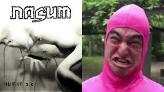 Nasum vs. Pink Guy - STFU SYSTEM (cursed Swedish grindcore/Pink Guy mashup)