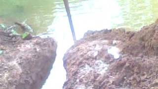 Vid0042.3gp