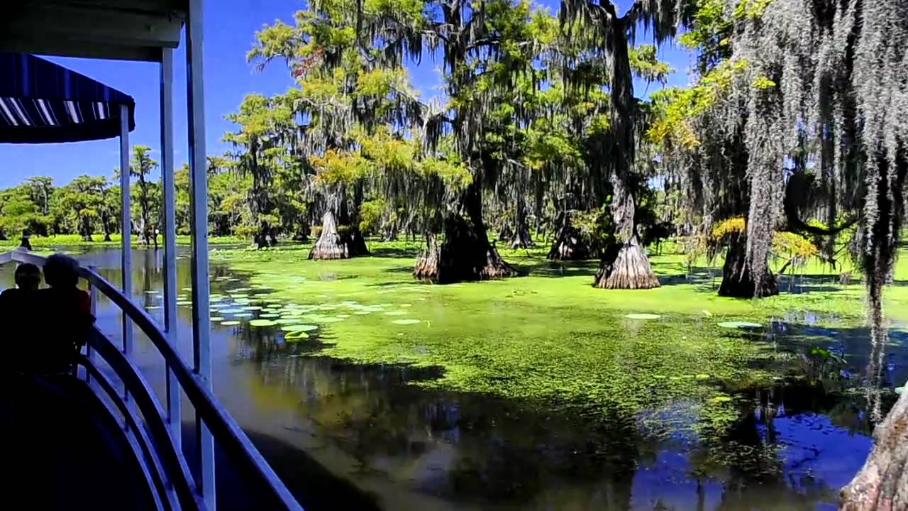 caddo lake cruise