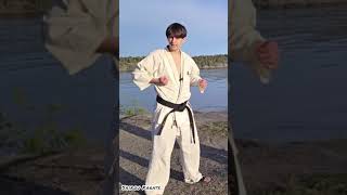 Arm = broken? #karate Watch the Full Video!