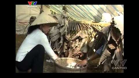 Ký ức miền Tây Kỳ 158 Tết Quê vtvcantho vn