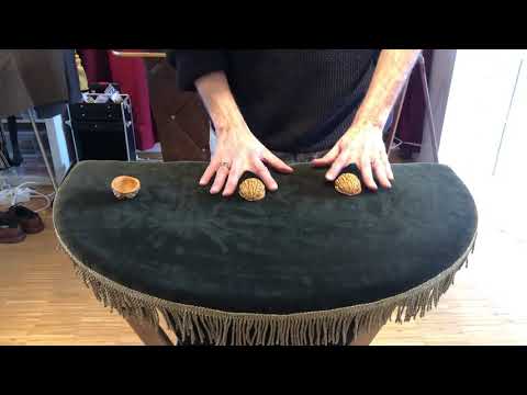 the Buffalo Shells