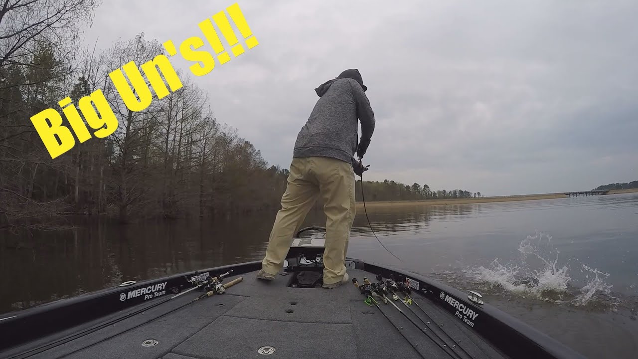 Lake O' the Pines Big Bass Fishing. Flipping up Big Spawners! With Blake Whatley