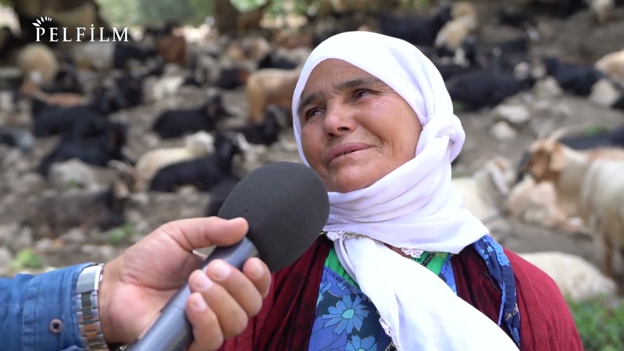 DENGÊ BOTAN - GEZNEX / ELKÊ