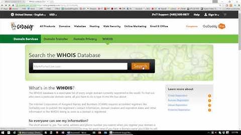 How to find out who owns a domain name