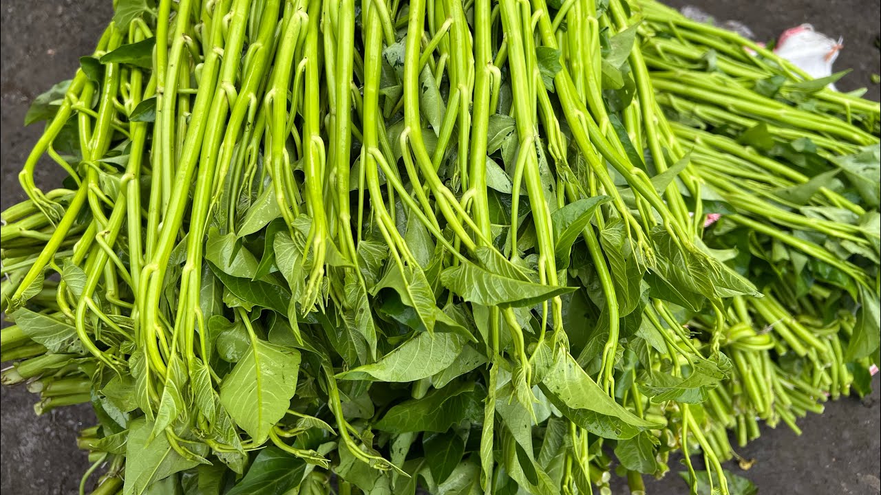 Сумасшедший шоппинг на Ломбоке, рынок Пажесанган, Матарам #live #episode67