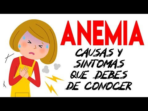 LA ANEMIA Síntomas, Causas y Factores de Riesgo