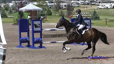 022S Alina Patterson on Flashback CCI2* Long Show ...