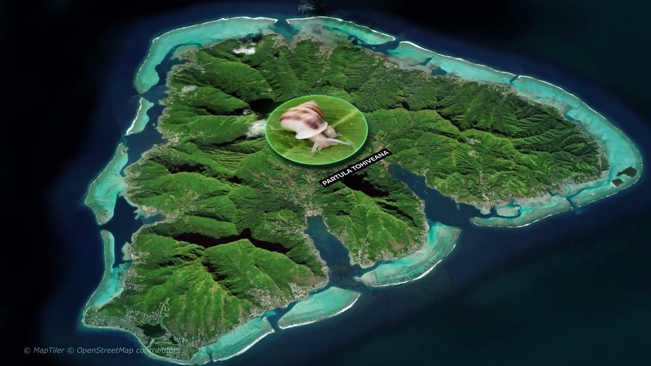 Geolayers 3 Showreel