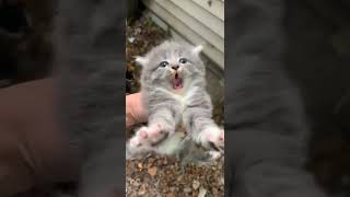aww he's not happy #meme aww he's not happy #meme