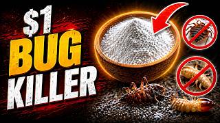 The Secret $1 Bathroom Powder That Kills Every Bed Bug And Termite FOREVER