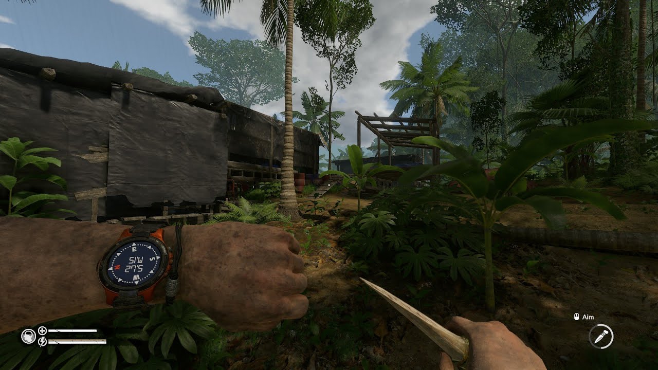 Green Hell Coop Survival, Livestream 6 YouTube