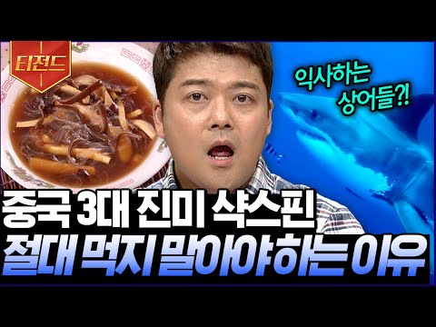 [#티전드] 상어 지느러미 <strong>샥스핀</strong> 요리를 소비하면 안 되는 이유❌ 인간의 탐욕이 불러온 잔인함 | #프리한19