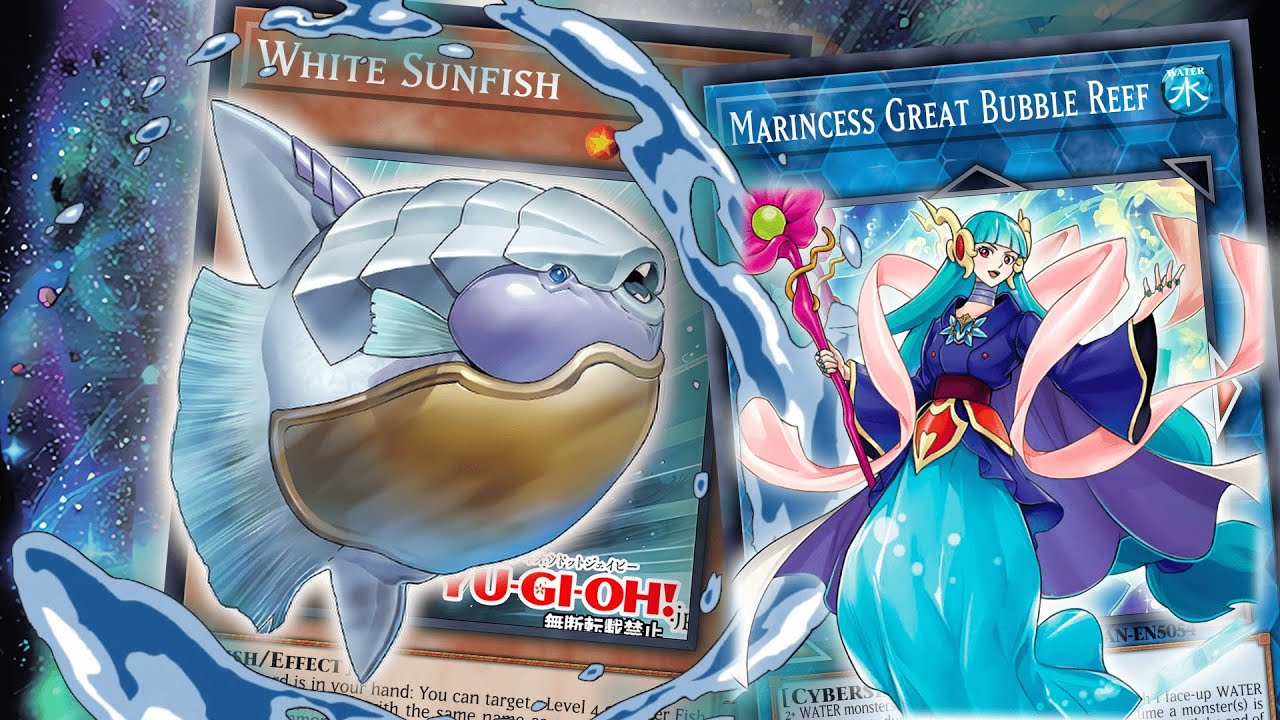 yugioh summon from deck Morning Star Farm Yugioh Dinomist Deck by TCGAccess : Amazon.sg: Toys