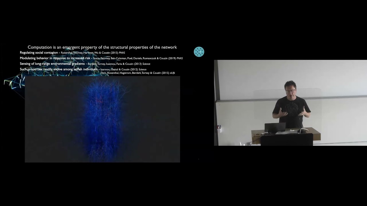 Iain Couzin: Employing Immersive Virtual Reality and Machine Learning ...