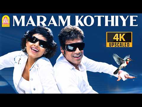 Maram Kothiye - 4K Video Song | மரங்கொத்தியே| Anbe Aaruyire| SJ Suryah | Nila | AR Rahman | Ayngaran