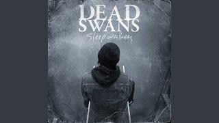 Watch Dead Swans And When It Seemed So Bright video