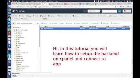 Step 2  How to setup backend on cpanel and connect to app
