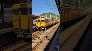 山陽本線 115系 福山行き 三原駅停車 20260505