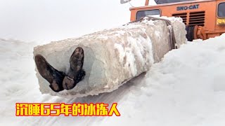 倒霉男子掉进甘油,凝结成琥珀,六十年容颜不老还成功苏醒