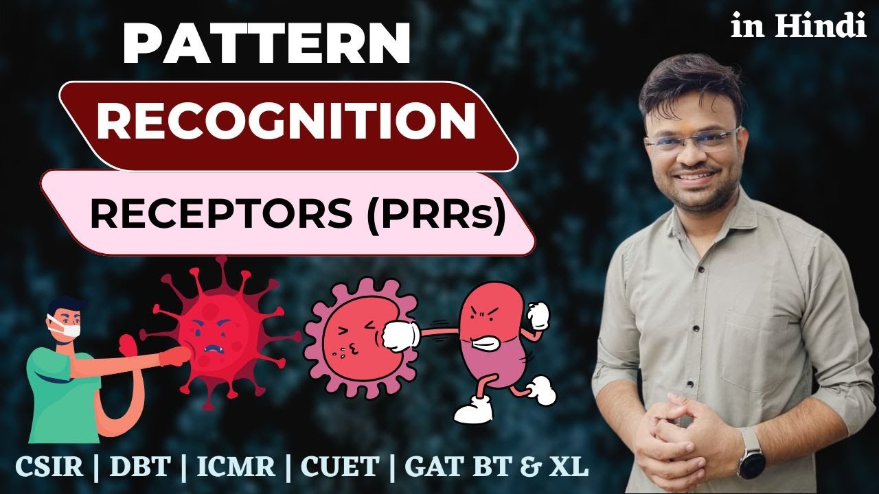 Pattern Recognition Receptors (PRRs) | Types, Functions, Mechanism ...