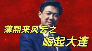 薄熙来传1，从“红色衙内”到政坛明星，一路在风口浪尖中成长。大连倾轧、辽宁争权，直至坐上商务部长，每一步都伴随权力、命运与时代的暗流。这段旅程，比你想象更跌宕。#中共#薄熙来#胡锦涛#温家宝#李克强