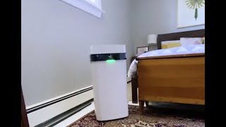 Can an air purifier help kill COVID-19 particles?