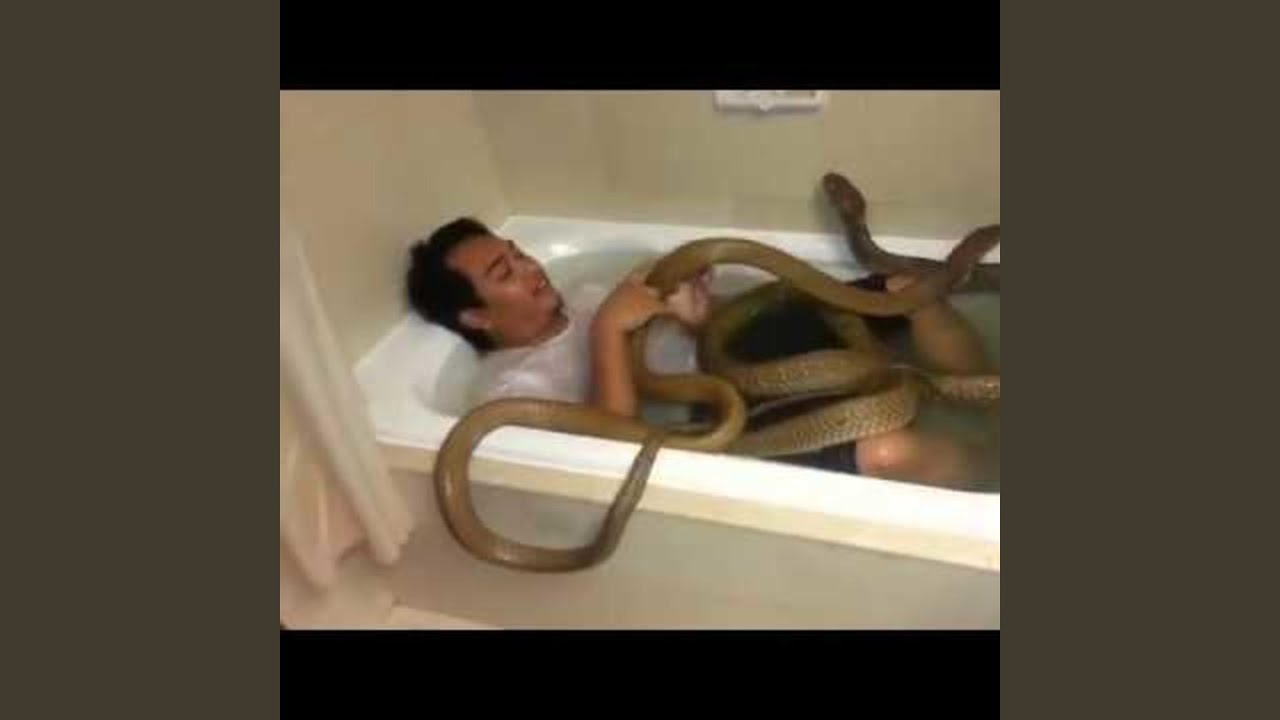 Залезли в одежде в ванну с водой и агрессивно там спариваются