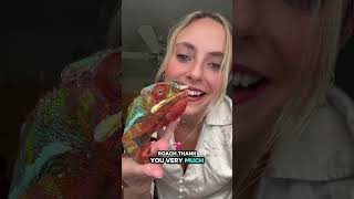 We learned our lesson with the super worms 🤕🪱 I have never had one pinch Sprinks until today!