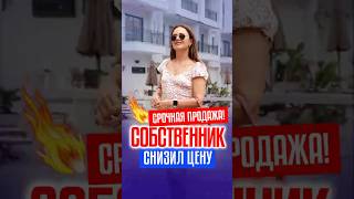 Цена, ОТ КОТОРОЙ ВЫ НЕ СМОЖЕТЕ ОТКАЗАТЬСЯ! Срочная продажа квартиры в Алании