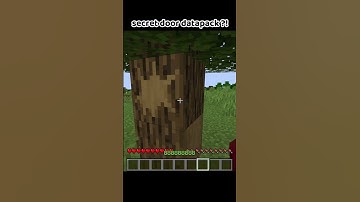 secret door datapack ?!  #minecraft #meme #datapack